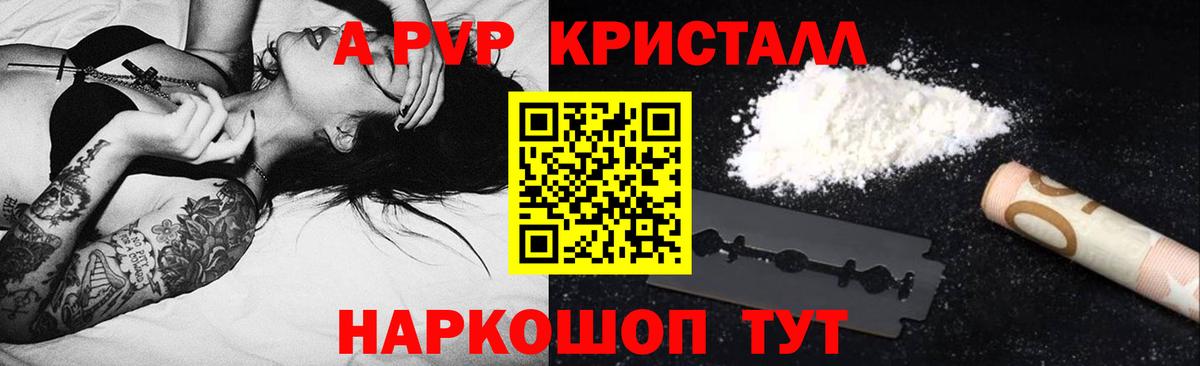 APVP СК КРИС Назрань